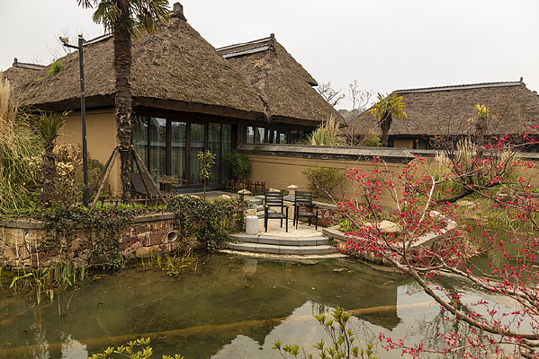 �黨�����