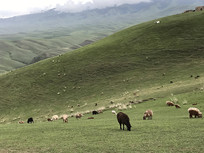 ��ɽ����