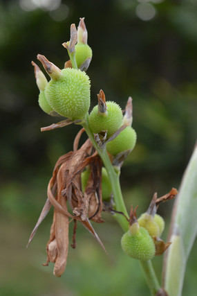 �������˽�����