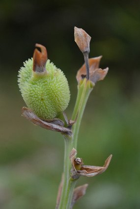 ���˽�����ͼƬ