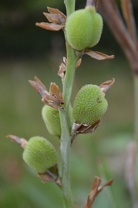 ���˽�����