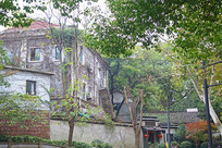 ���Ӻ���