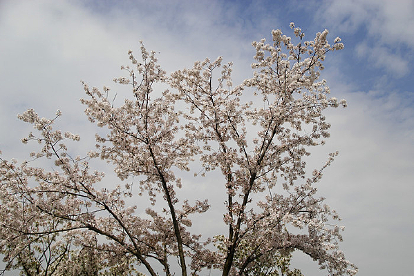 һ��ӣ����