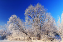 ѩԭ������ڡ