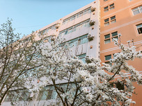 ����ʦ��ѧԺ����