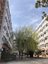 ����ʦ��ѧԺѧУ������������