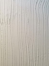 ǽ������