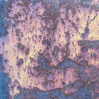 ���������ز�