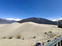 ������֥-����ɳ��