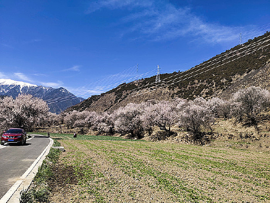 ������֥����