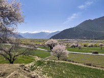 ������֥��԰ȫ��