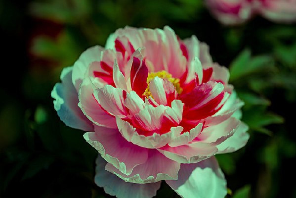 ���޵�ĵ��