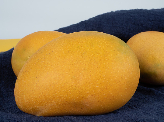 â����Ӱ��дͼƬ