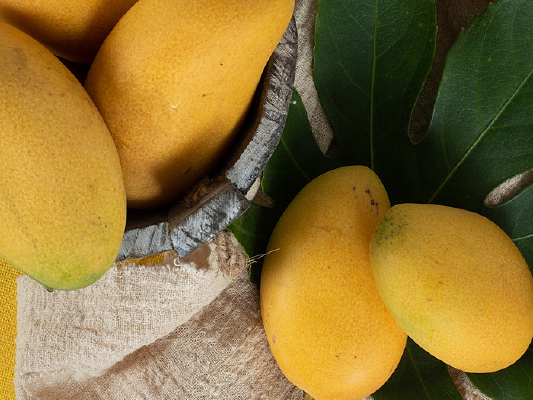 �����â��ͼƬ