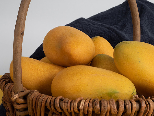 Ӫ��ˮ��â����д