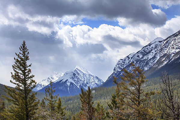 ���ô��ܽѩɽ