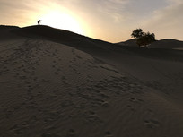 Ϧ������