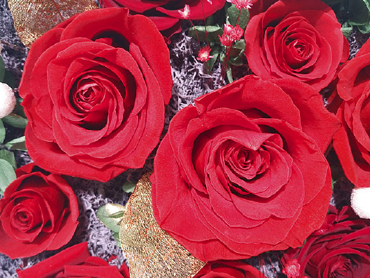 �����õ��