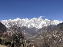 �����µ����Ȱ���ѩɽ