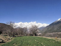 ���Ȱ��߷�