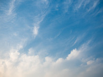 ����������ɫ���