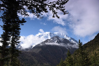 ʥ�������ѩɽ