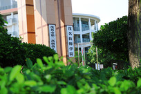 ï����ʦѧԺ����