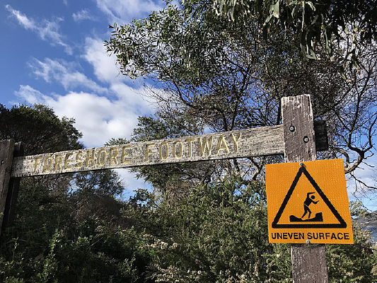 ����ŵ����