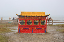 ��ѩ�е�������