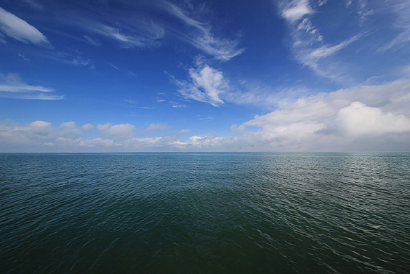 ������ຣ������