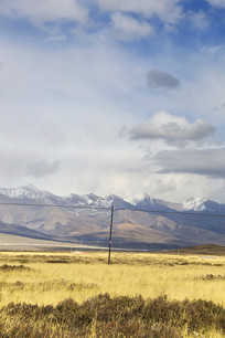 �������������ɽ�ݵ�