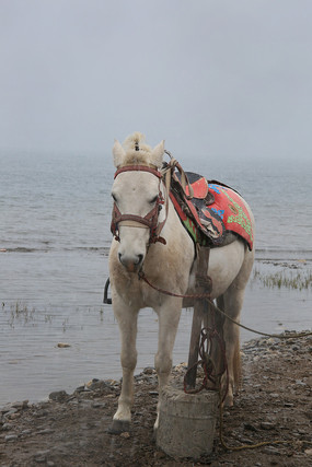 ���߰���