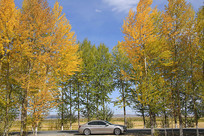 ���﹫·����