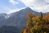 ��ɫ����ѩɽ����