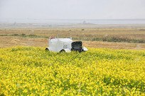 �����ຣ���Ͳ˻���԰