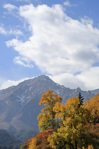 ����ѩɽ��������