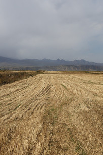 ��������ո��