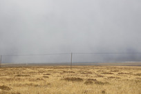 ����ɽ�ݵ�