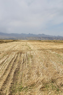 ����ɽ�����ո��