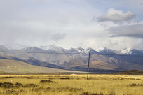 ����ɽ�µĲݵ�