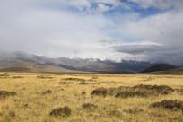 ����ɽѩɽ�ݵ�