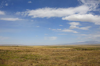 ��ظ�ԭ�ݳ�