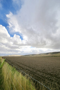 ��ظ�ԭũ������