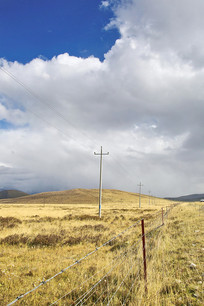 ��ظ�ԭ��ɫ 