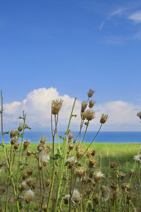 �ຣ������ֲ