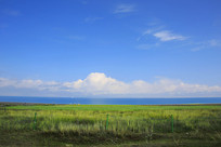 �ຣ������������