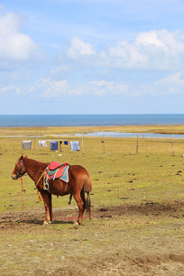 �ຣ���������