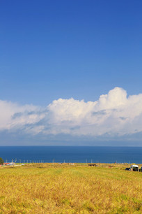 �ຣ���ݳ�