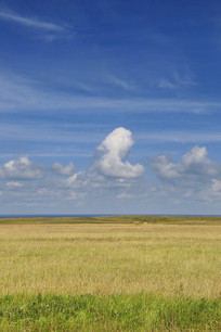 �ຣ����ԭ���