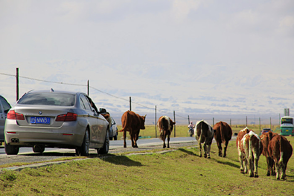 �ຣ��ţȺ����·